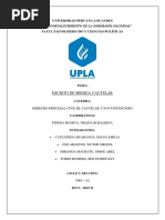 "Año Del Fortalecimiento de La Soberanía Nacional": Universidad Peruana Los Andes