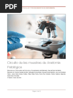 Circuito de Las Muestras de Anatomía Patológica: Subcomisión de Protocolos Y Procedimientos de Enfermería