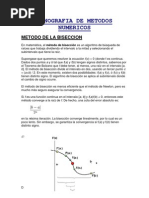 Calculo Numerico