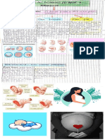 Etapas Del Desarrollo Prenatal y Nacimiento