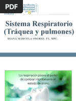 Sistema Respiratorio Nutricion