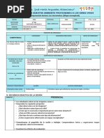 Plan Lector Terre, Otos