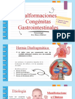 Malformaciones Gi...