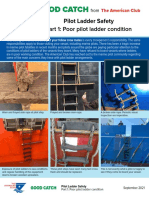 Pilot Ladder Safety