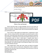 S5LT-IIf-6 - Flower's Parts and Functions