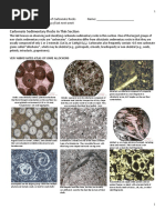 GEOL 332 Fa21 Lab #9 Carbonate Petrography