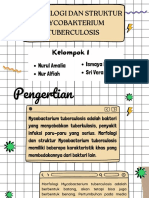 Morfologi & Struktur MTB (Kelompok 1)