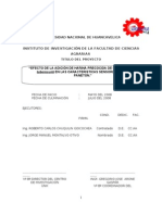 Informe Final Paneton Angel Carhuapoma