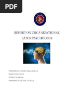 Report On Labor Psychology