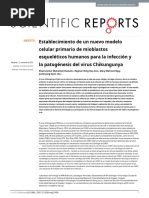 Hussain Et Al. - 2016 - Establishment of A Novel Primary Human Skeletal Myoblast Cellular Model For Chikungunya Virus Infection and Path - En.es