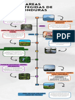 Tarea 4