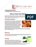 Citrus Trees Fact Sheet and Guide