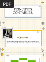 Principios Contables