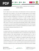 Protocolo Efecto de La Aplicación de ANA Sólido y Líquido