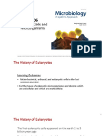 History and Features of Eukaryotic Cell (Part1)