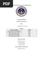 Informe Órganos de Los Sentidos