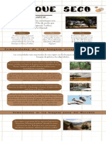 Infografia - Bosque Seco