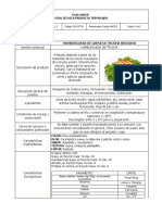 Ficha Técnica Proyecto