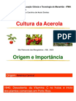 Aula Aceroleira Modificada