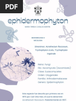 Epidermophyton