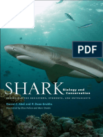 Shark - Biology and Conservation - Daniel C. Abel R. Dean Grubbs Elise Pullen