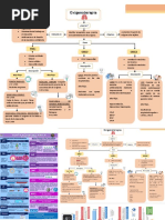 ACT.11 Oxigenoterapia