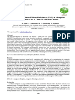 Valorisation of Natural Mineral Substances (NMS) at Adsorption