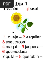 Primer Día Girasol