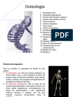 Anatomia 2 Osteologia