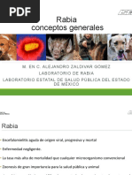 Rabia Conceptos Generales