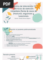 Técnicas de Atención Inmediata Frente A Casos de Fracturas, Esguinces y Luxaciones.