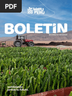 Boletin - Junio 003