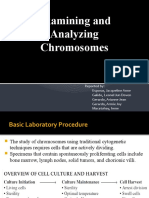 Cytogenetics