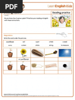 Reading Practice Growing A Plant Worksheet