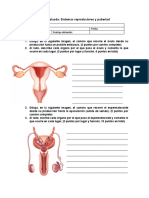 Guia Evaluada Sexualidad 6to