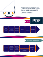 Procedimiento Especial para La Aplicación de Ciertas Multas