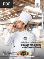 Programa Tecnico Laboral Cocina Nacional Internacional