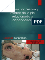 Lesiones de La Piel y UPP 2