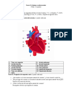 M5 - SISTEMA - CARDIOVASCULAR - TAREA - 5-2 L