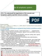 Vascular & Lymphatic System - F2023 - DR D Costa