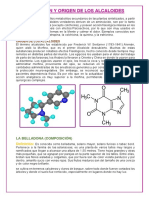 Definición y Origen de Los Alcaloides