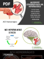 Acv Hemorragico