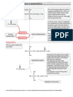 1.1 Synthesis and Metabolism of Acetylcholine