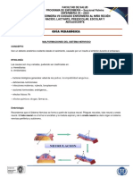 Malformaciones Del Sistema Nervioso