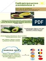 Infografia Sobre La Palta