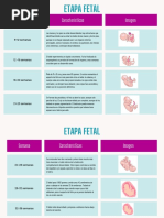 Tabla Comparativa Etapas