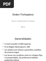 Orden Trichoptera