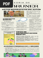 Infografía de J BRUNER