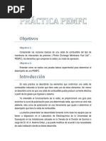 Práctica Pemfc