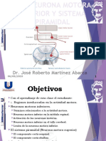 Clase 19. Neurona Motora Inferior y El Sistema Piramidal